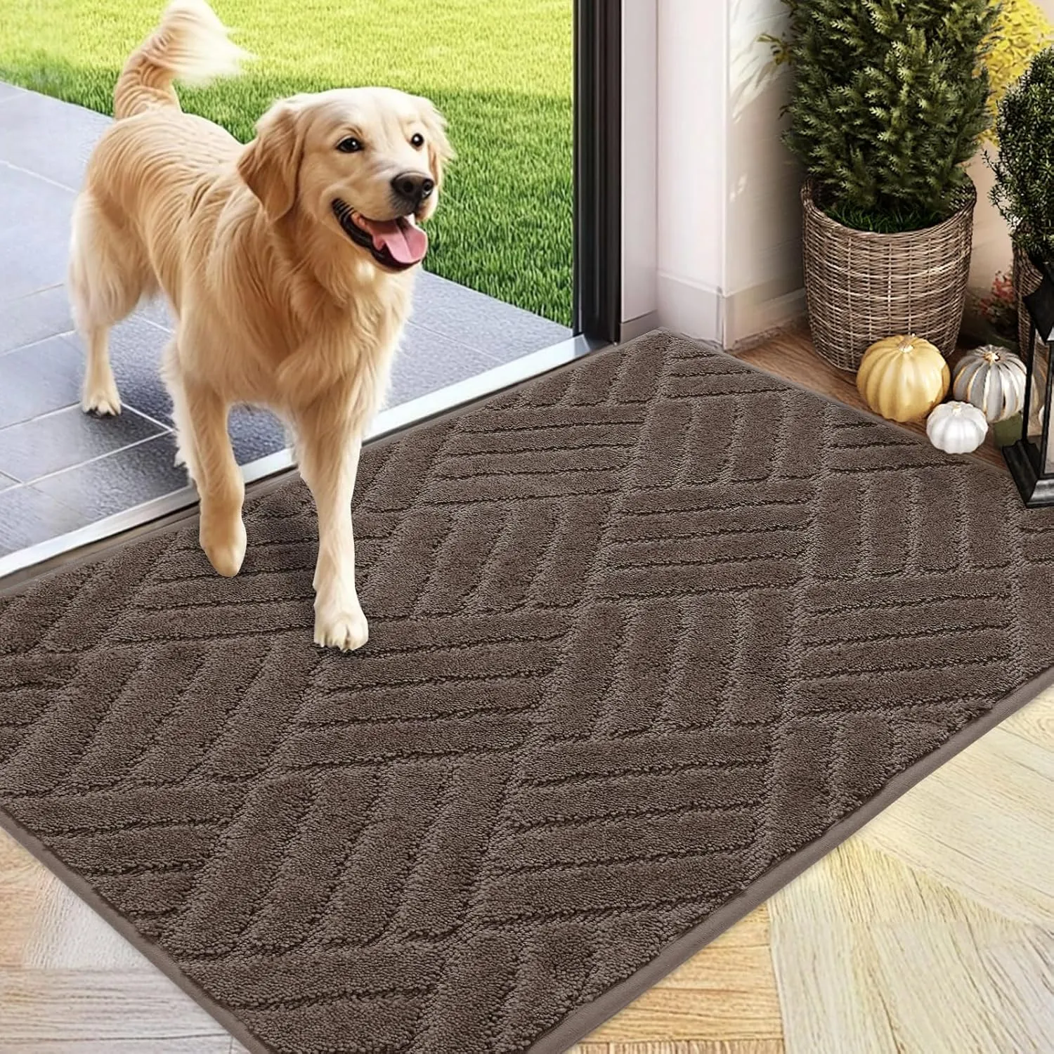 Front Door Mat, Absorbent Dirt Trapper Welcome Door mat Indoor, Non Slip Machine Washable Entryway Rug, Dog Door Mat, Shoes Scraper, Low Profile Doormat for Inside Floor, 20x32, Brown