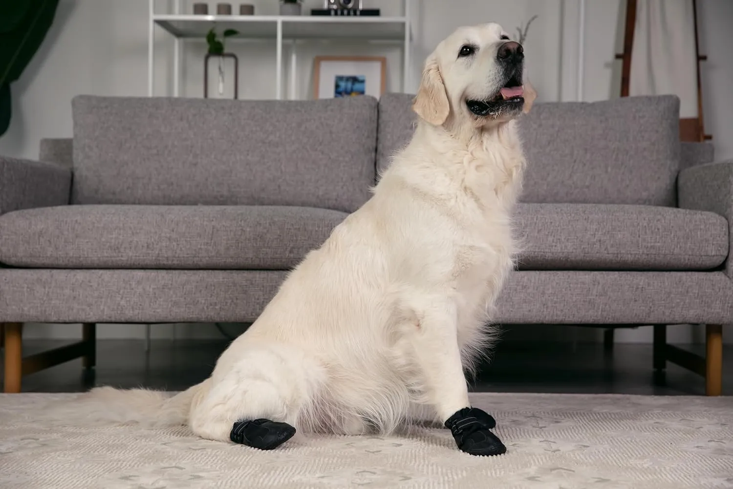 Premium Dog Shoes for Hiking, Rain, Mud, and Hot Concrete - Protective Dog Boots and Booties for Large and Medium Size Dogs - Durable Outdoor Dog Shoes (Size 5 (2.25-2.5" paw Width) Medium)